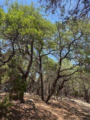 17803 Moon Rise CV, Jonestown, TX 78645