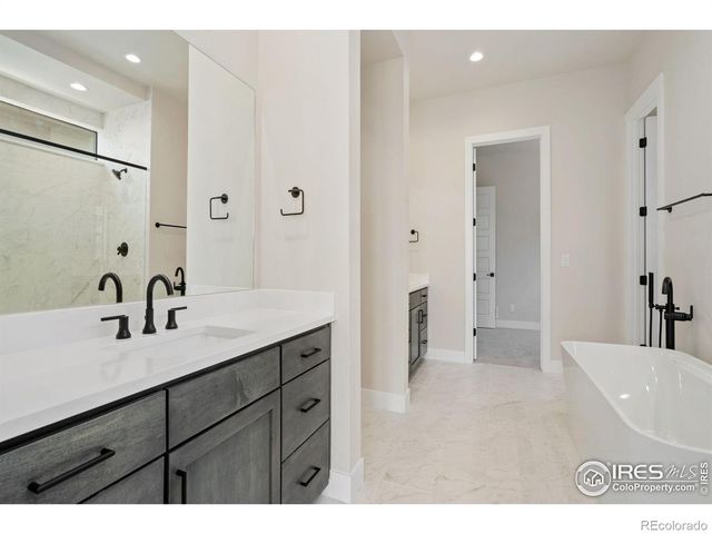 1653 Flourish Drive, Windsor, CO 80550