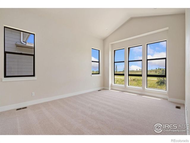 1653 Flourish Drive, Windsor, CO 80550
