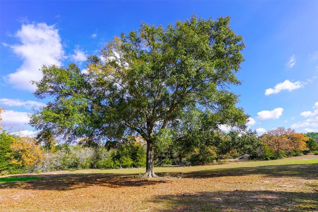 31174 Courtney Road, Waller, TX 77484