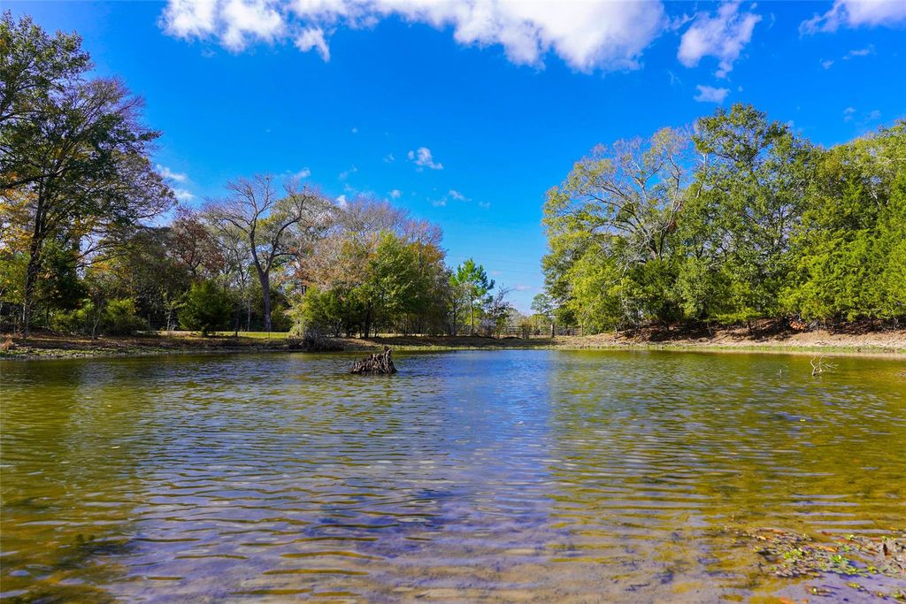 31174 Courtney Road, Waller, TX 77484