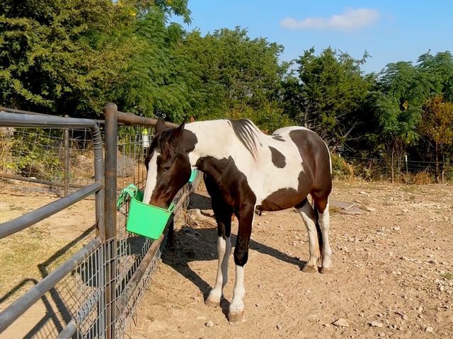 525 Brazos Hills Drive, Weatherford, TX 76087