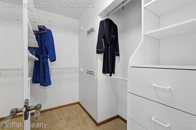7253 Summit Ridge, Hamburg Township, MI 48116