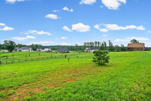 4133 Liverworth Rd, Southside, TN 37171