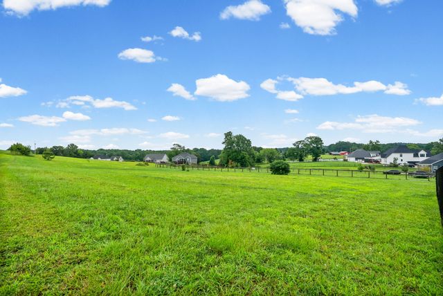 4133 Liverworth Rd, Southside, TN 37171