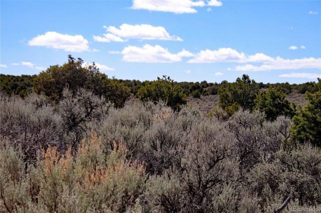 Lot 16 Gold Hawk, San Luis, CO 81152