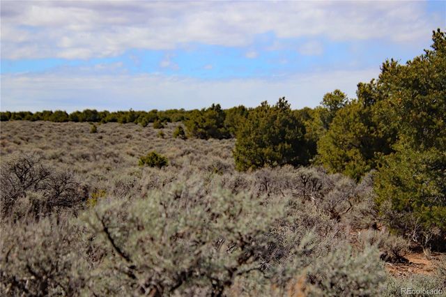 Lot 16 Gold Hawk, San Luis, CO 81152
