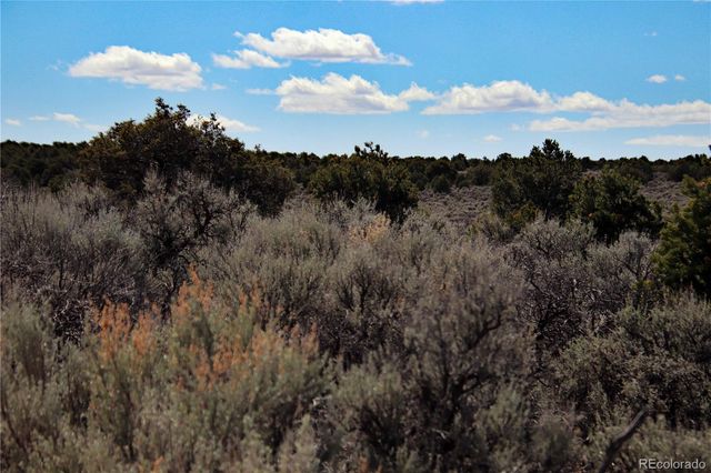 Lot 16 Gold Hawk, San Luis, CO 81152