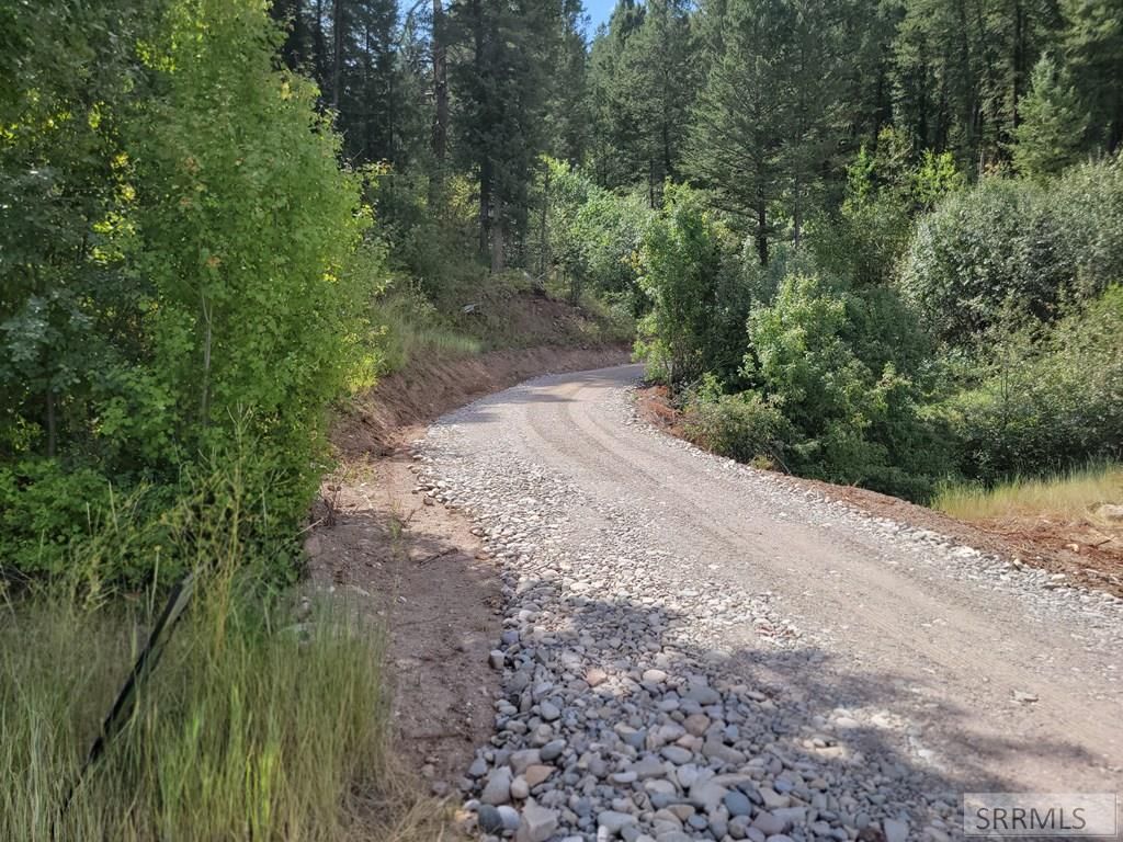 Image 12 of property listing at L31&32 Cutthroat Run, Irwin, ID 83428