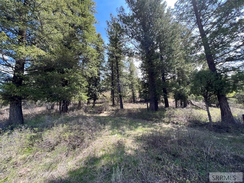 Image 2 of property listing at L31&32 Cutthroat Run, Irwin, ID 83428
