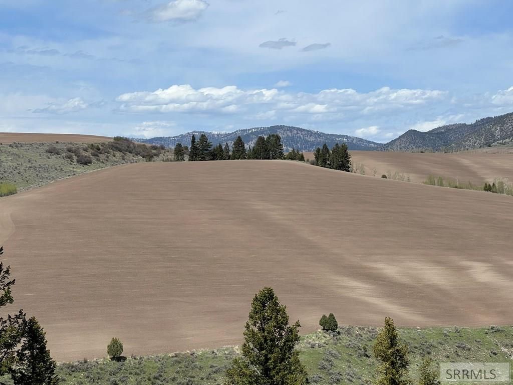 Image 3 of property listing at L31&32 Cutthroat Run, Irwin, ID 83428