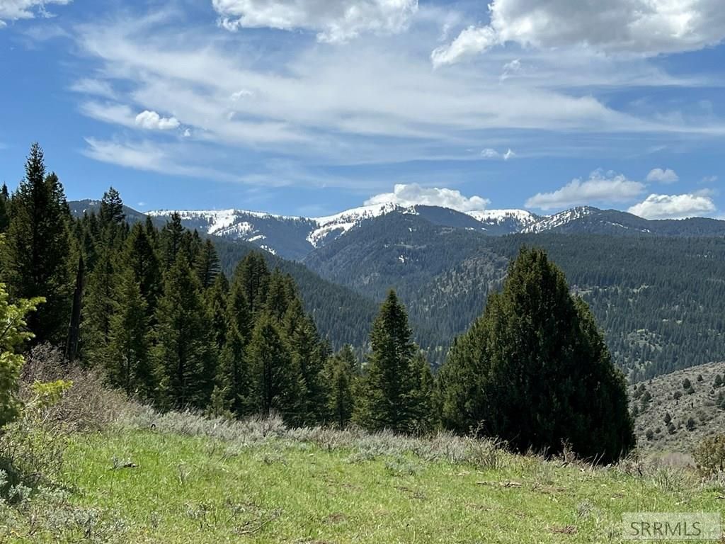 Image 4 of property listing at L31&32 Cutthroat Run, Irwin, ID 83428