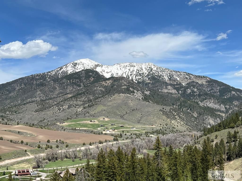 Image 7 of property listing at L31&32 Cutthroat Run, Irwin, ID 83428