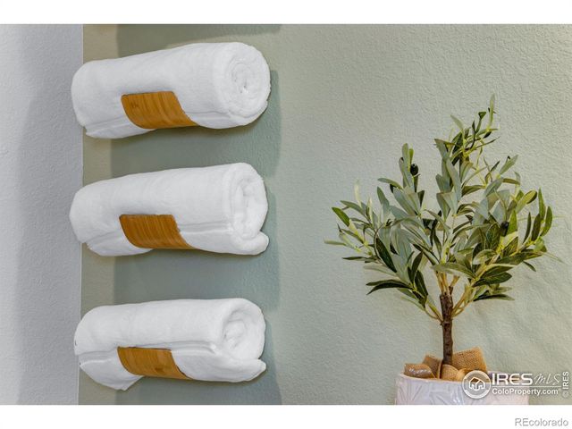 384 Tailholt Avenue, Severance, CO 80550