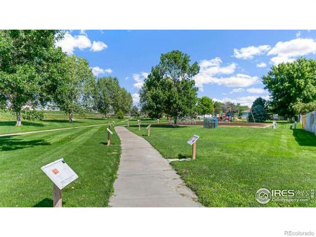 384 Tailholt Avenue, Severance, CO 80550