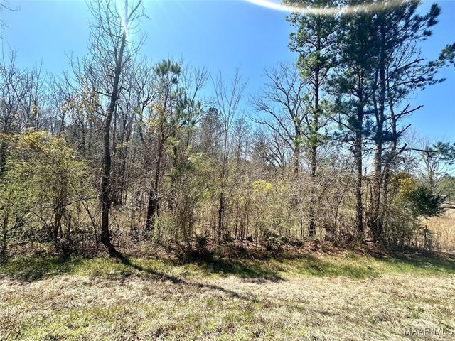 39 Jasmine Lane, Ramer, AL 36069