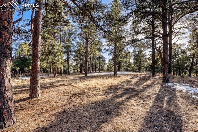 18225 Cumbres Court, Peyton, CO 80831