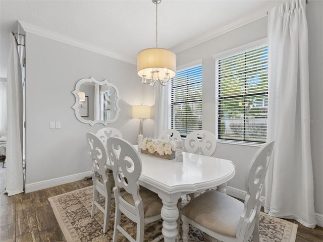 13099 BURNS DRIVE, Odessa, FL 33556