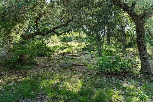 211 BENTWOOD DR, Spring Branch, TX 78070