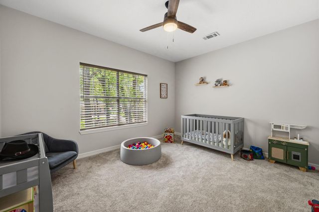 3206 Pine Chase Drive, Montgomery, TX 77356