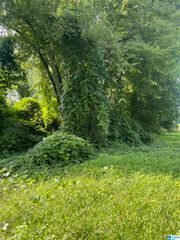 5300 SALINA AVENUE, Bessemer, AL 35022