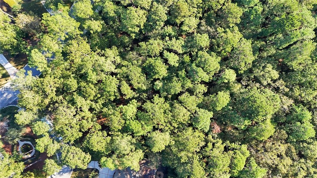 Image 10 of property listing at 3 Oakland Pl, Okatie, SC 29909