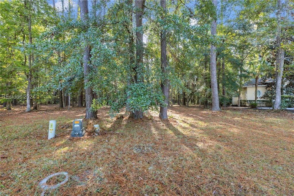 Image 19 of property listing at 3 Oakland Pl, Okatie, SC 29909