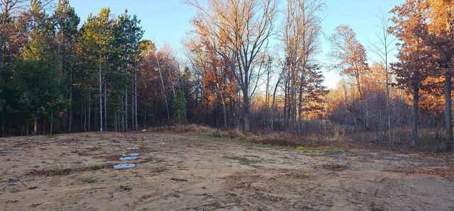 27532 Dahlia Street NW, Isanti, MN 55040