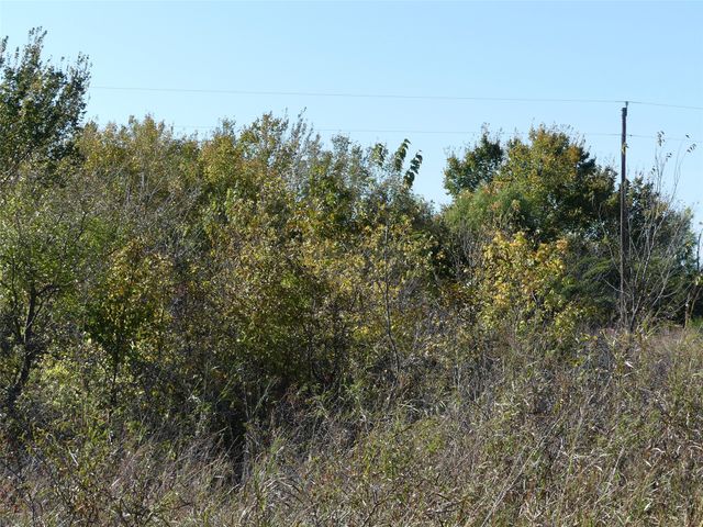 TBD FM 1749, Forestburg, TX 76239