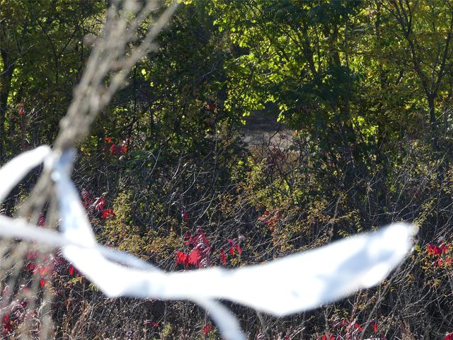 TBD FM 1749, Forestburg, TX 76239