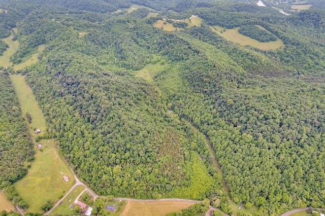 0 Hurrican Branch Road, Gainesboro, TN 38562