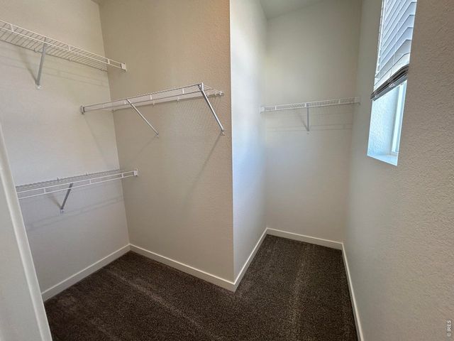3908 Lake Clark St, Evans, CO 80620