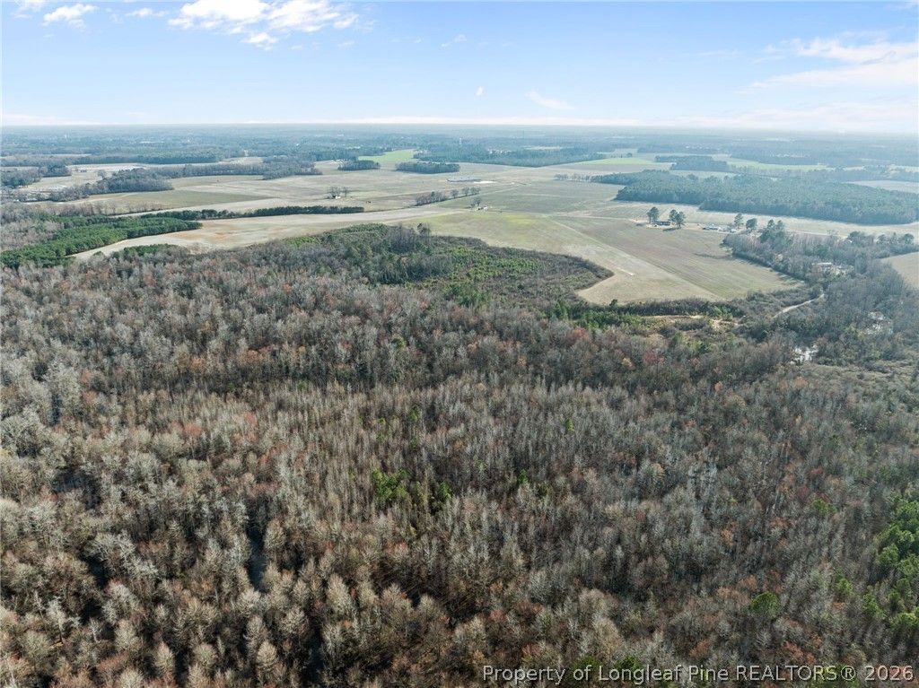 2876 Dunn Road, Roseboro, NC 28382 — photo 13