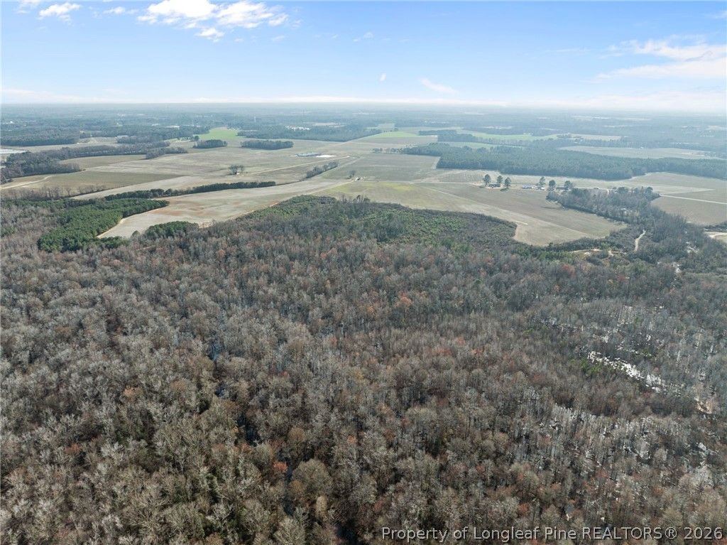 2876 Dunn Road, Roseboro, NC 28382 — photo 14