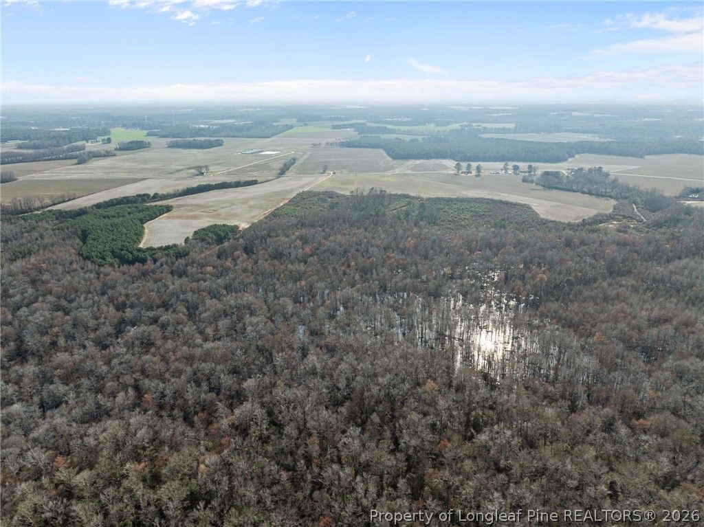 2876 Dunn Road, Roseboro, NC 28382 — photo 15