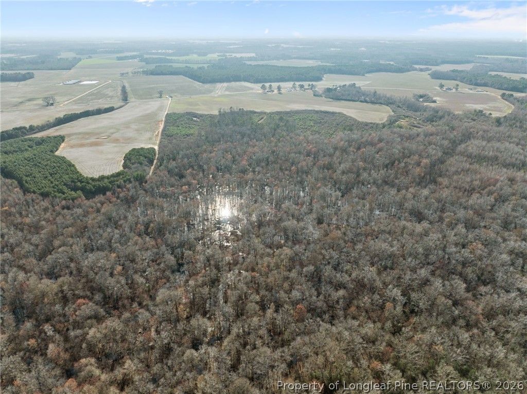 2876 Dunn Road, Roseboro, NC 28382 — photo 16