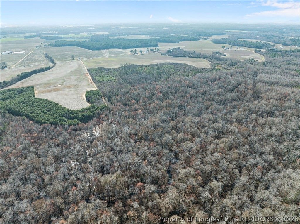 2876 Dunn Road, Roseboro, NC 28382 — photo 17