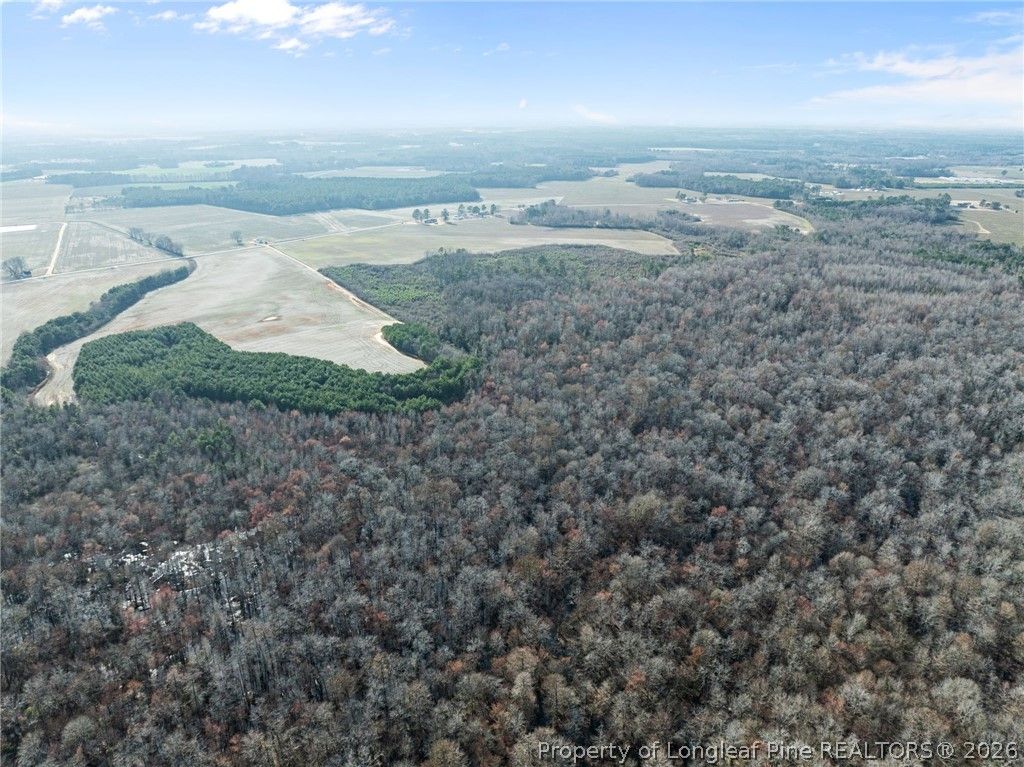 2876 Dunn Road, Roseboro, NC 28382 — photo 18