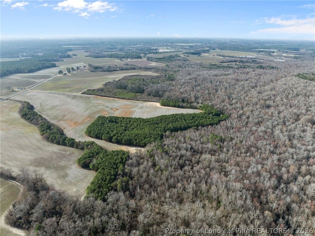 2876 Dunn Road, Roseboro, NC 28382 — photo 19