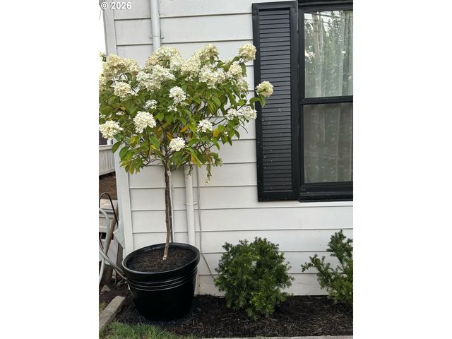 1105 WASHINGTON St, Oregon City, OR 97045