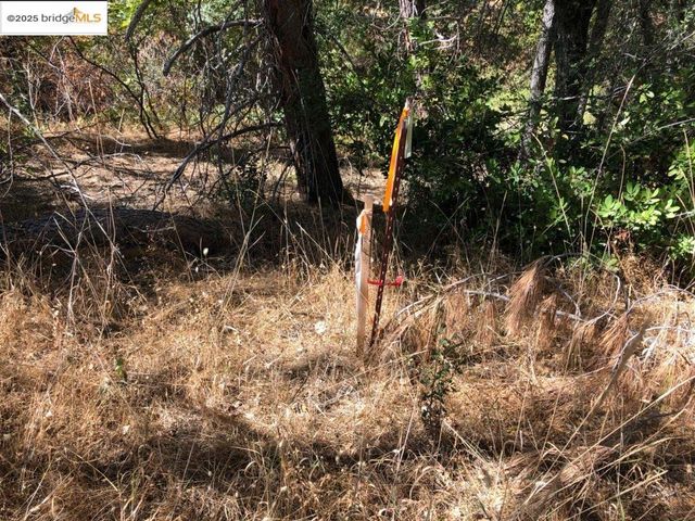 15941 Crestridge Avenue, Sonora, CA 95370