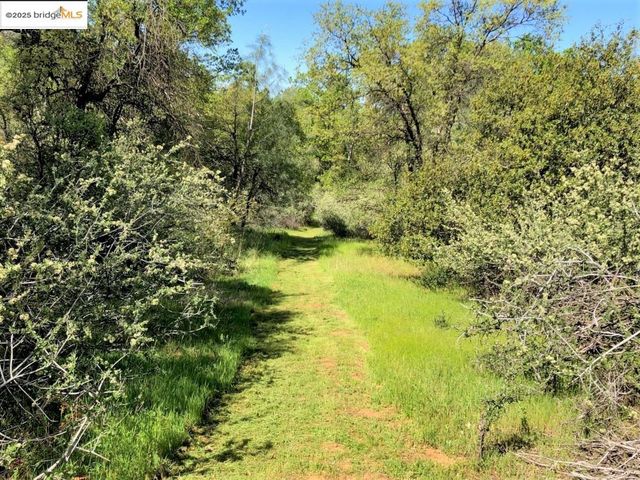 15941 Crestridge Avenue, Sonora, CA 95370