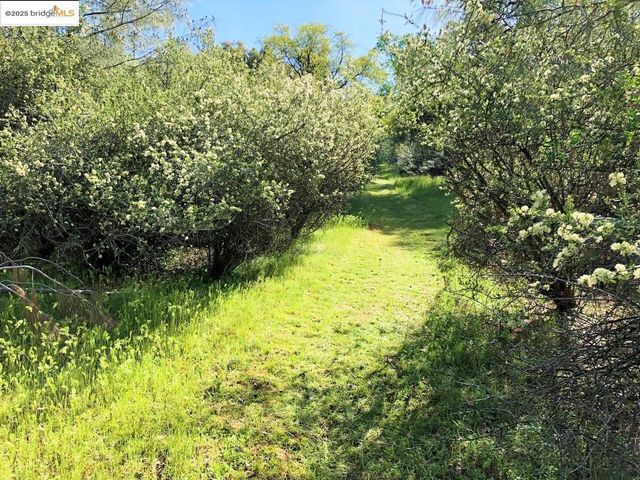 15941 Crestridge Avenue, Sonora, CA 95370