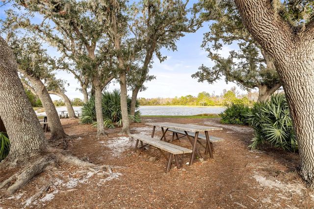 2892 RIDERS PASS, Odessa, FL 33556