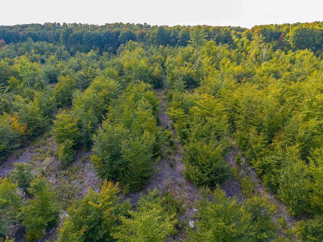 VL 17.5A Nw Walker Road, Nw, Kalkaska Twp, MI 49676