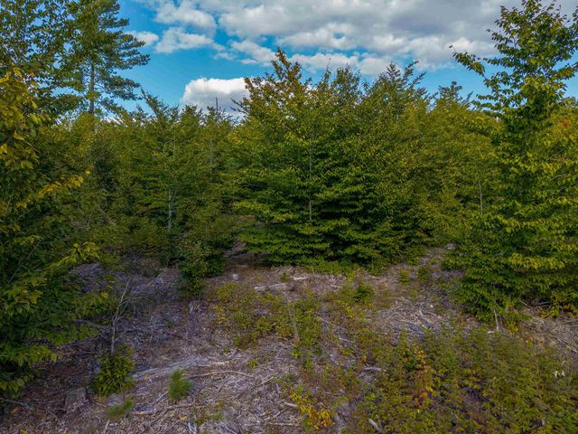 VL 17.5A Nw Walker Road, Nw, Kalkaska Twp, MI 49676