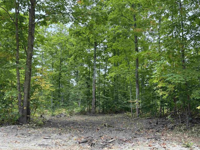 VL 17.5A Nw Walker Road, Nw, Kalkaska Twp, MI 49676