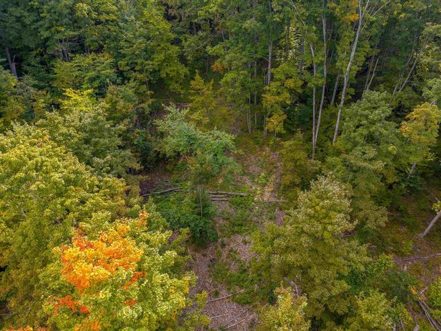 VL 17.5A Nw Walker Road, Nw, Kalkaska Twp, MI 49676