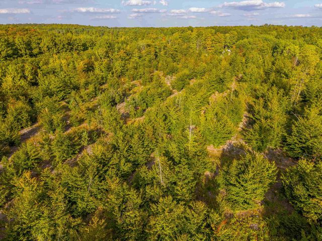 VL 17.5A Nw Walker Road, Nw, Kalkaska Twp, MI 49676