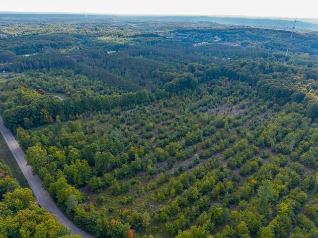 VL 17.5A Nw Walker Road, Nw, Kalkaska Twp, MI 49676